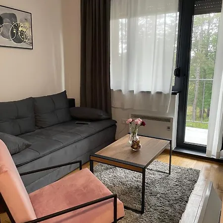 アパート Istra_28 Titova ズラティボール